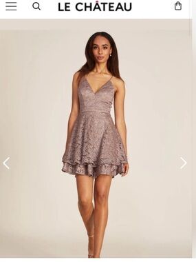 le chateau Dusty Rose Lace Fit & Flare Spaghetti Strap Mini